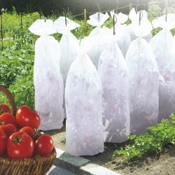 Tomatex Агрил за домати Nortene 17 gr./m2 0.6 x 10м. 110163 - Аксесоари за градина