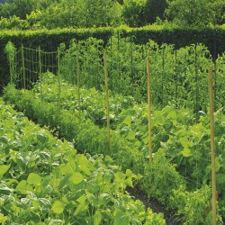 Мрежа за краставици Nortene 1.7 x 5 м. 120247 - Аксесоари за градина