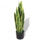 Sonata Изкуствено растение сансевиера със саксия, 65 см, зелено -