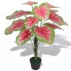 Sonata Изкуствено растение каладиум със саксия, 70см, зелено и червено -