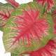 Sonata Изкуствено растение каладиум със саксия, 70см, зелено и червено -