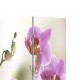 Sonata Сгъваем параван за стая, 160x180 см, цвете -