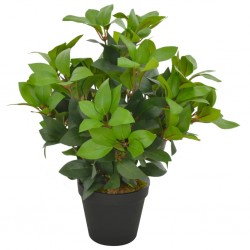 Sonata Изкуствено растение лаврово дърво със саксия, зелено, 40 см - Изкуствени цветя