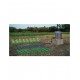 Система за капково напояване Primaterra Linea 100 метра - Инструменти, Аксесоари за градината