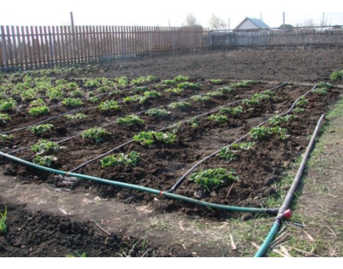 Система за капково напояване Primaterra Greenhouse - Инструменти, Аксесоари за градината